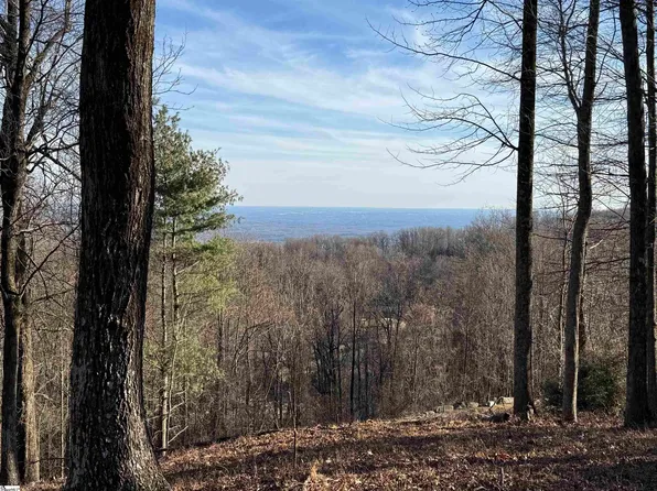 152 Goldenrod Way, Landrum, SC 29356