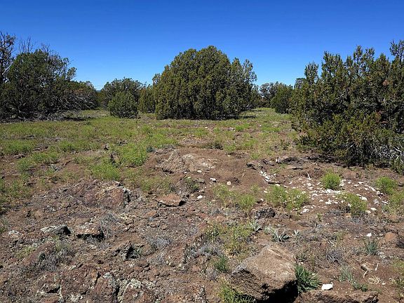 3rd image of 8411 Javelina Dr