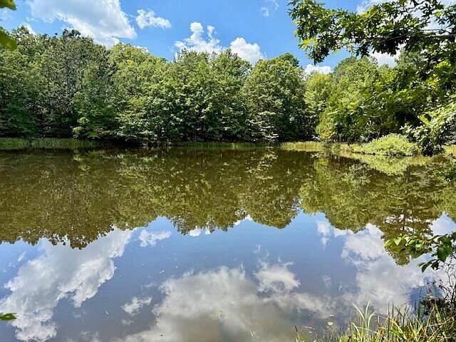 49th image of this home