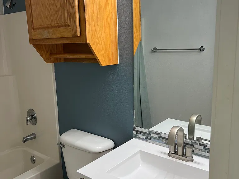 Hallway guest bathroom.