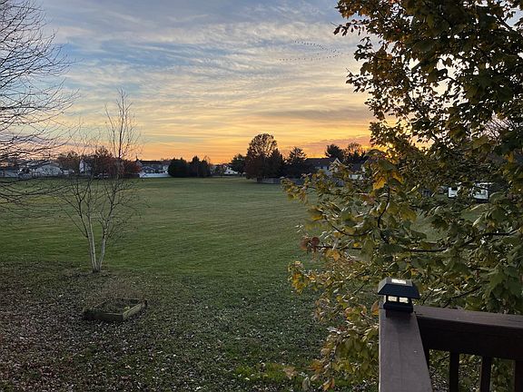 Backyard view
