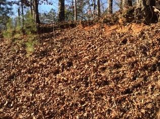 3981 Pine Hill Dr, Douglasville, GA 30135