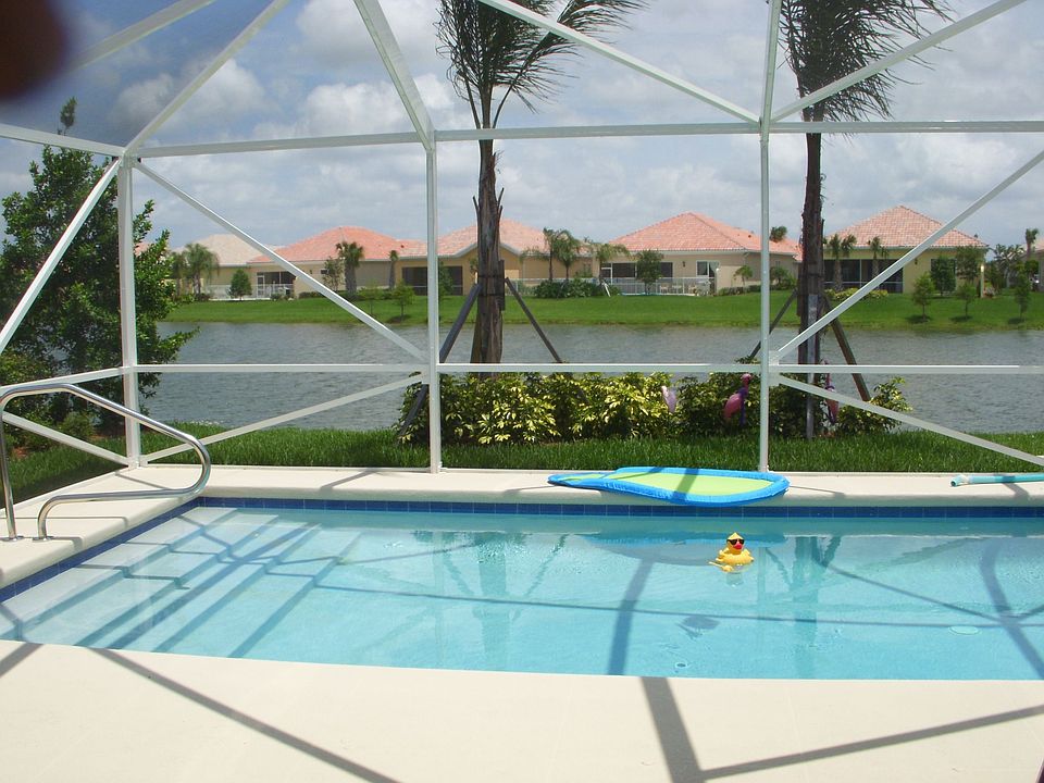 What A Backyard View