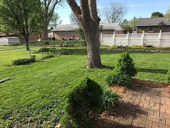 Left side of backyard