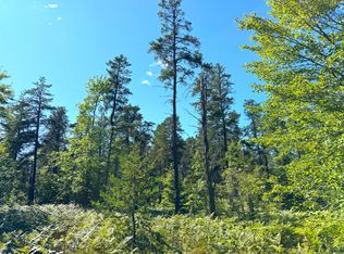 LOT 22 N Betsy Riverview Row, Paradise, MI 49768