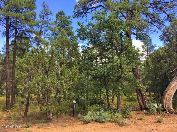1421 Wheat Grass Ln, Show Low, AZ 85901