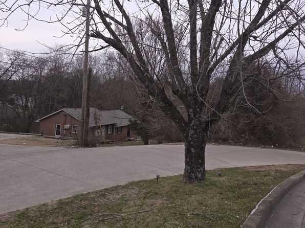 nashville-tennessee-41182781 picture