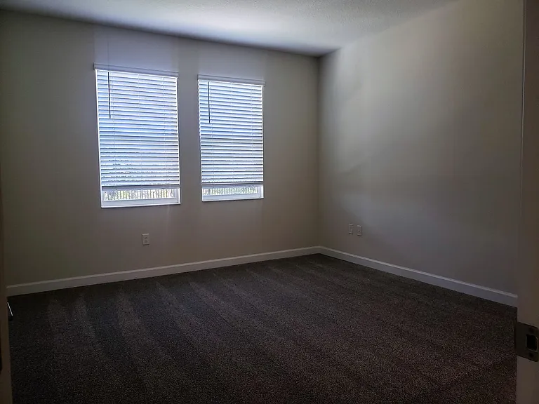 2910 American Elm Cv — Photo 8
