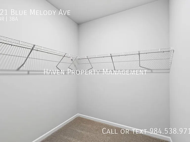 121 Blue Melody Ave — Photo 24