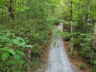 0 Highway 60, Mineral Bluff, GA, 30559