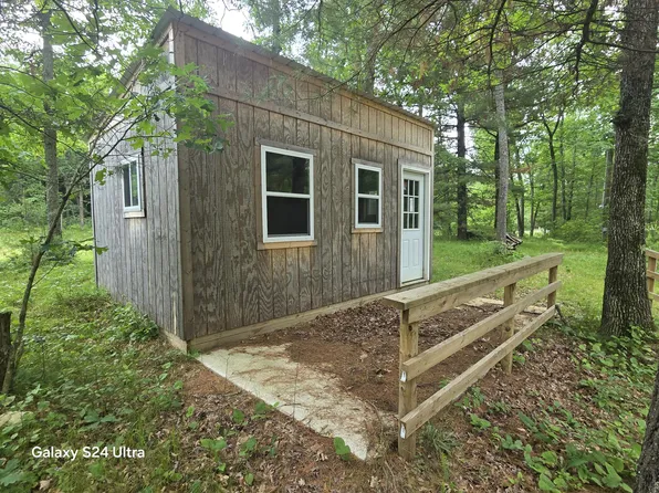 10513 N Peacock Trl, Irons, MI 49644