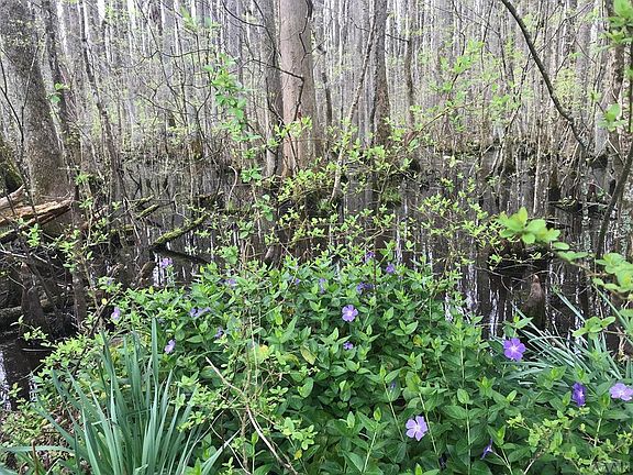 5th image of 917 N Hwy 343 LOT RESIDUAL