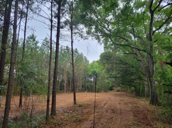33 Baxterville Rd, Lumberton, MS 39455