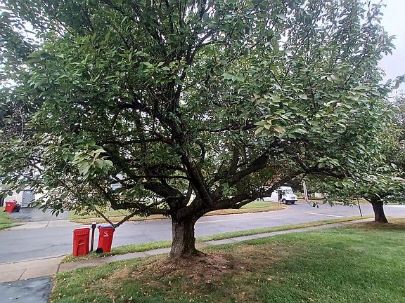 3rd image of 451 Twin Streams Dr
