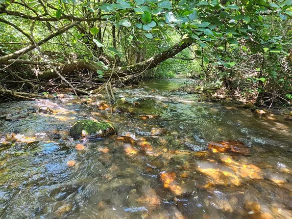 Wisler Dr, Fancy Gap, VA 24328