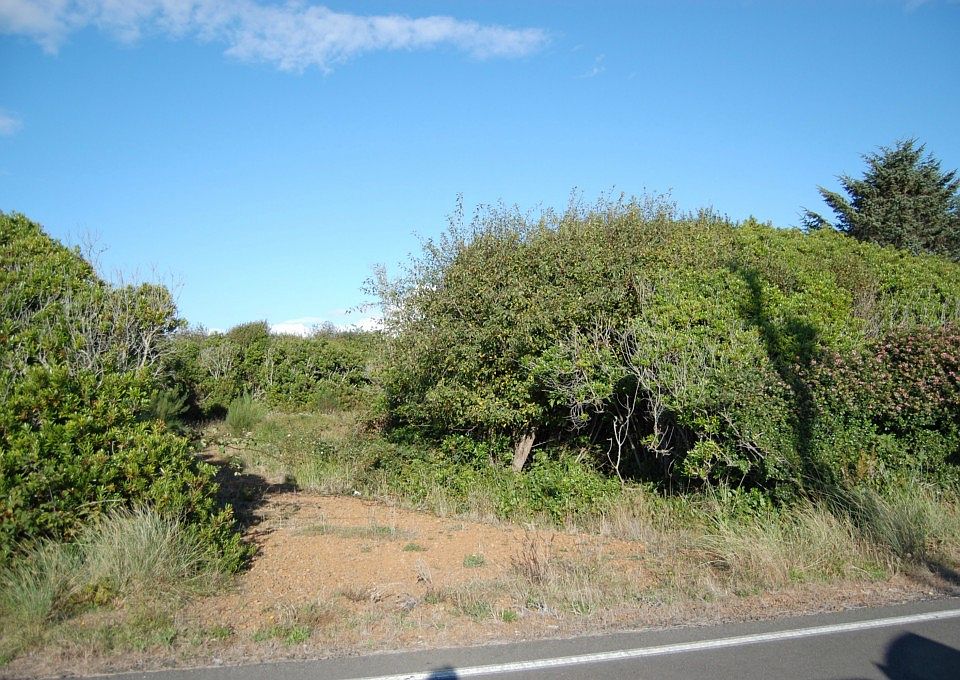 2nd image of 1204 E Ocean Shores Blvd SW
