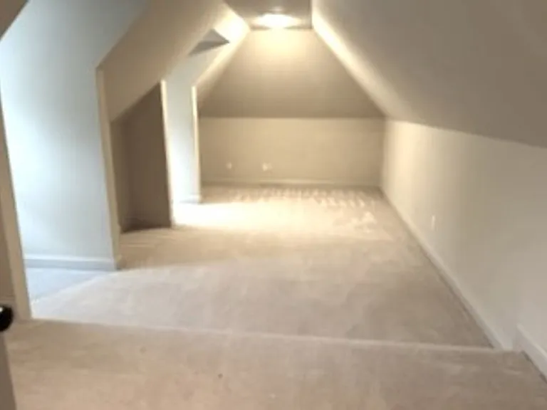 217 Asheton Lakes Way — Photo 12