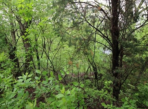 3rd image of 219 W Lake Shore Dr