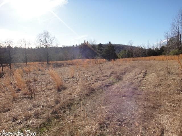 2nd image of 114 Bull Creek Cv