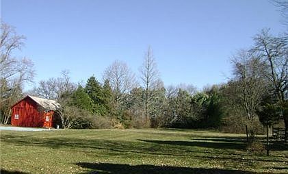 2nd image of 11605 Daisy Ln