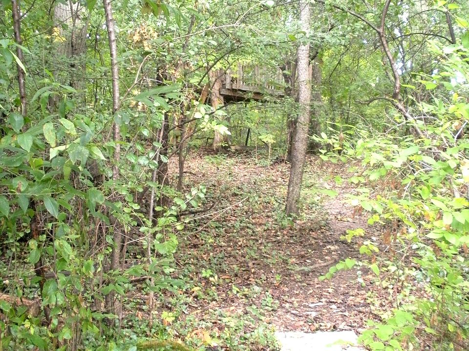 Path to tree house