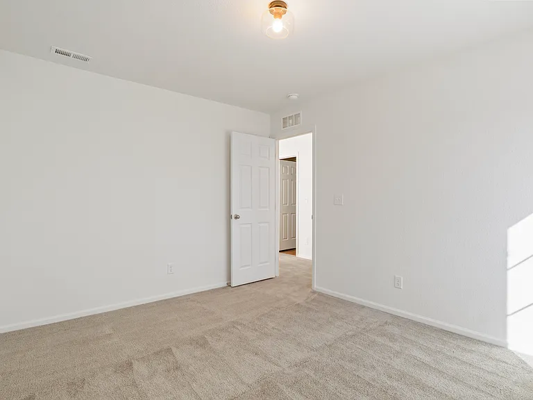 6244 Bodacious Cir — Photo 31