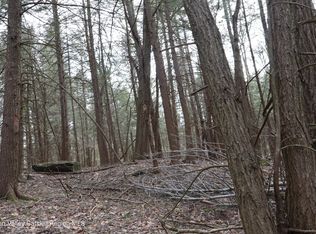 Tbd Terrace Drive, Lexington, NY 12452