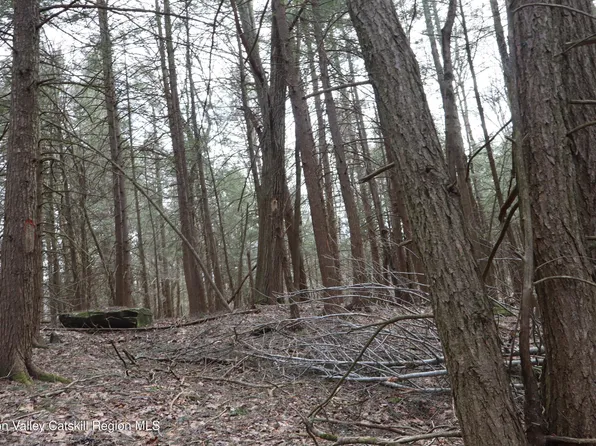 Tbd Terrace Drive, Lexington, NY 12452