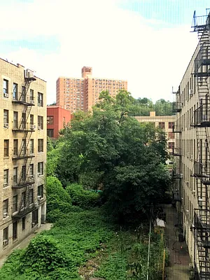 Rented by Bohemia Realty Group | media 18