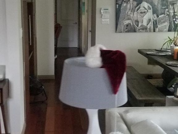 3rd image of 5171 Silk Pl