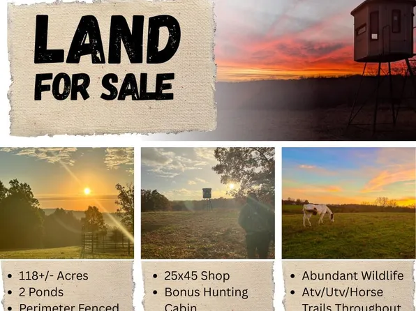 000 County Road 529, Ava, MO 65608