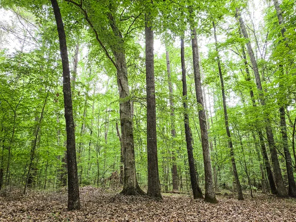 0 Padgett Rd, Senoia, GA 30276