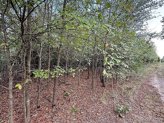 2nd image of 2 S 4531st Rd