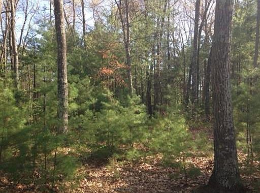 2nd image of 250 Glendale Rd
