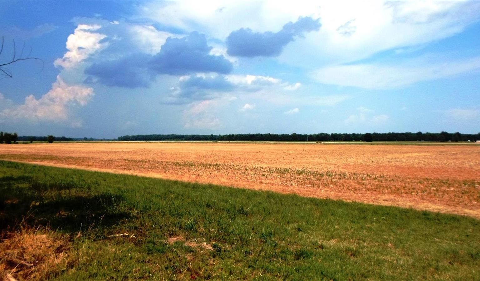 0 Richland Ln Poplar Bluff MO 63901 MLS 23001962 Zillow 0-richland-ln-poplar-bluff-mo-63901-mls-23001962-zillow
