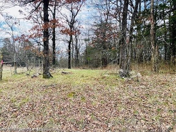 4th image of Pawpaw Branch Rd