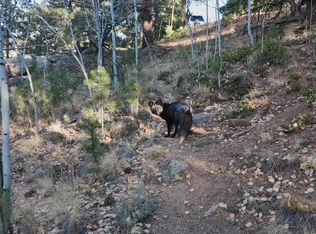 209 Hayes St, Bailey, CO 80421