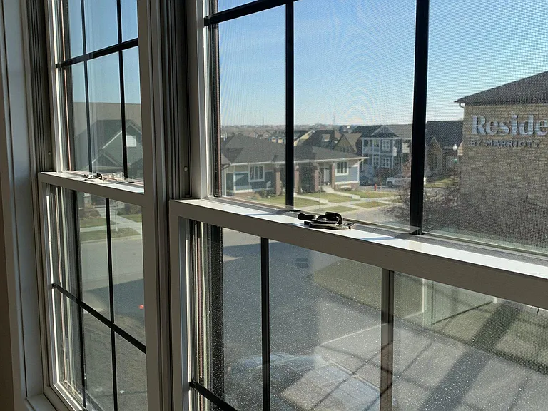Neighborhood view from second bedroom