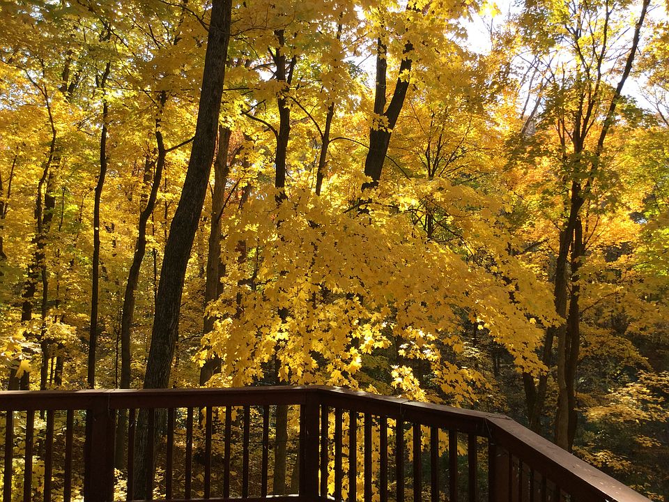 1st image of 63 Sunny Hill Ct