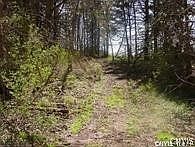 5th image of 0 Nelson Rd