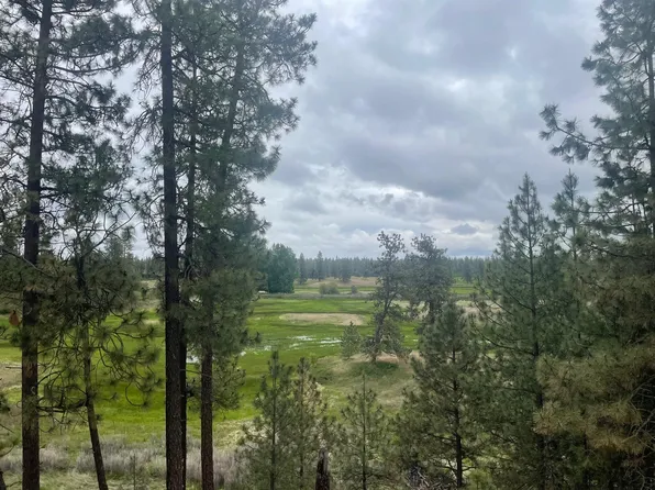 S Cheney Plaza Rd, Cheney, WA 99004