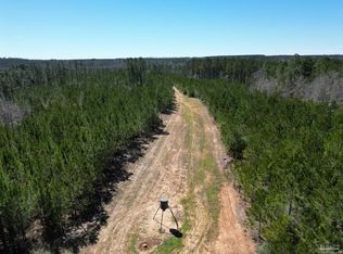 6 Robinsonville Rd, Atmore, AL 36502