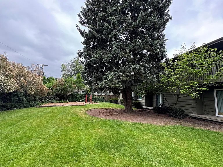 The Firs — Photo 25