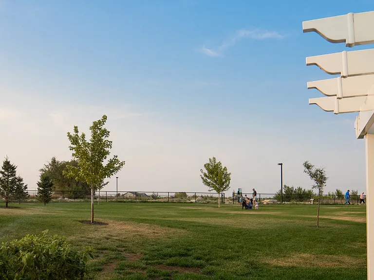 Dog run and outdoor play space