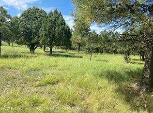 LOT 3 High Mesa Rd #2, Alto, NM 88312