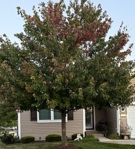 2nd image of 709 Flag Dr