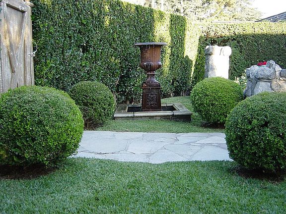 front yard