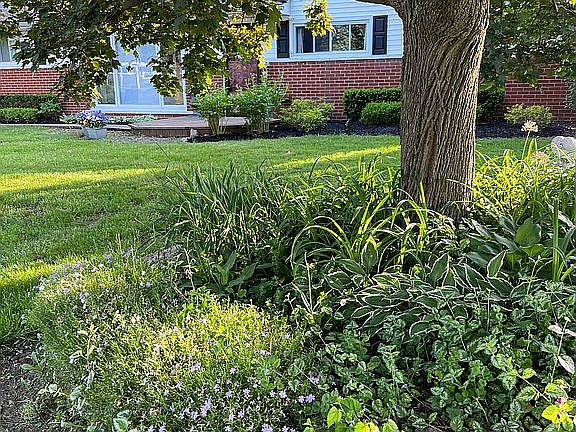 Front Garden