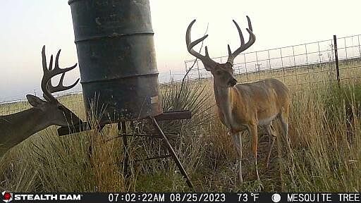 1st image of County Road 7