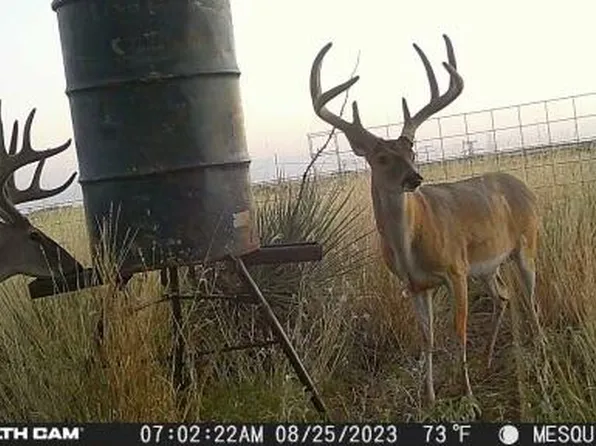 County Road 7, Turkey, TX 79261